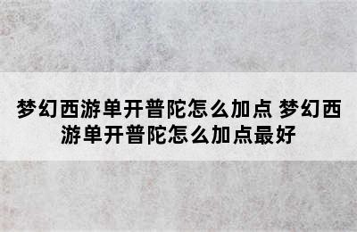 梦幻西游单开普陀怎么加点 梦幻西游单开普陀怎么加点最好